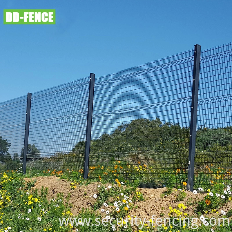 Hot Sale Powder or PVC Coated Galvanized Welded Wire Mesh Fence / Curved Welded Wire Mesh Fence